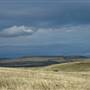 Monaro Plains