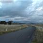 Monaro Plains