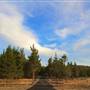 Snowpine Lodge