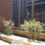 Property Council of Australia