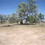 Bindara Station on the Darling - Period Homestead & Outbuildings
