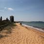 Collaroy Beach