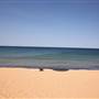 Collaroy Beach