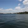 Barangaroo Reserve
