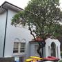 Curlewis Street