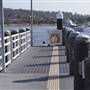 Merimbula