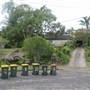 Bilgola Plateau neighbourhood