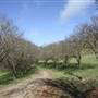 Private House - Crookwell