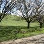 Private House - Crookwell