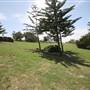 Cronulla Beach North End (Greenhills)
