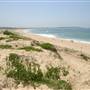 Wanda Beach