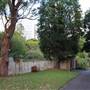 Royal Botanic Garden Sydney