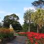 Royal Botanic Garden Sydney