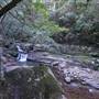Minnamurra Rainforest Walk - Budderoo National Park