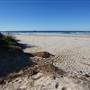 Munmorah State Conservation Area