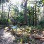Munmorah State Conservation Area - Palms Picnic Area