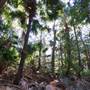 Munmorah State Conservation Area - Palms Picnic Area