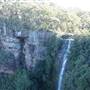 Fitzroy Falls & Twin Falls - Morton National Park