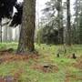 Jenolan State Forest