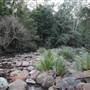 Red Cedar Flat picnic area