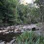 Red Cedar Flat picnic area