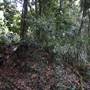 Red Cedar Flat picnic area