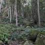 Mount Keira Scout Camp File 1