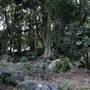 Mount Keira Scout Camp File 1