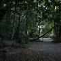 Mount Keira Scout Camp File 1