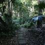Mount Keira Scout Camp File 1