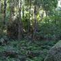 Mount Keira Scout Camp File 1