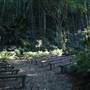 Mount Keira Scout Camp File 1