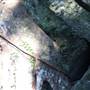 Mount Keira Scout Camp File 1