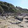 Caves Beach North