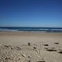 Caves Beach North