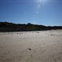 Caves Beach North