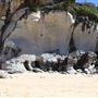North Curl Curl Beach