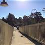MT VICTORIA RAILWAY STATION