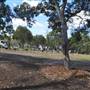 Rookwood Cemetery