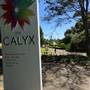 The Calyx - Royal Botanic Garden Sydney
