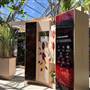 The Calyx - Royal Botanic Garden Sydney
