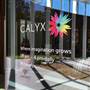 The Calyx - Royal Botanic Garden Sydney
