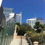The Calyx - Royal Botanic Garden Sydney