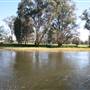 Tumut River Bridge