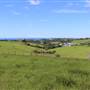 Rosebank Farm