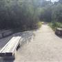 The Gully Walk, Katoomba (formerly Catalina Park)