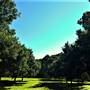 gurragawee Eco Venue