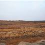 Broken Hill - ore deposit, Line of Lode Lookout and Miners Memorial