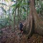 Ardeena - Jungle / Rainforest Private Property