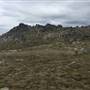 Snowy Mountains - Semi-Dry Steppes